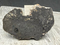 NWA 17706 lunar meteorite full slice obverse showing gray melt breccia matrix with plagioclase veining and cortex edge