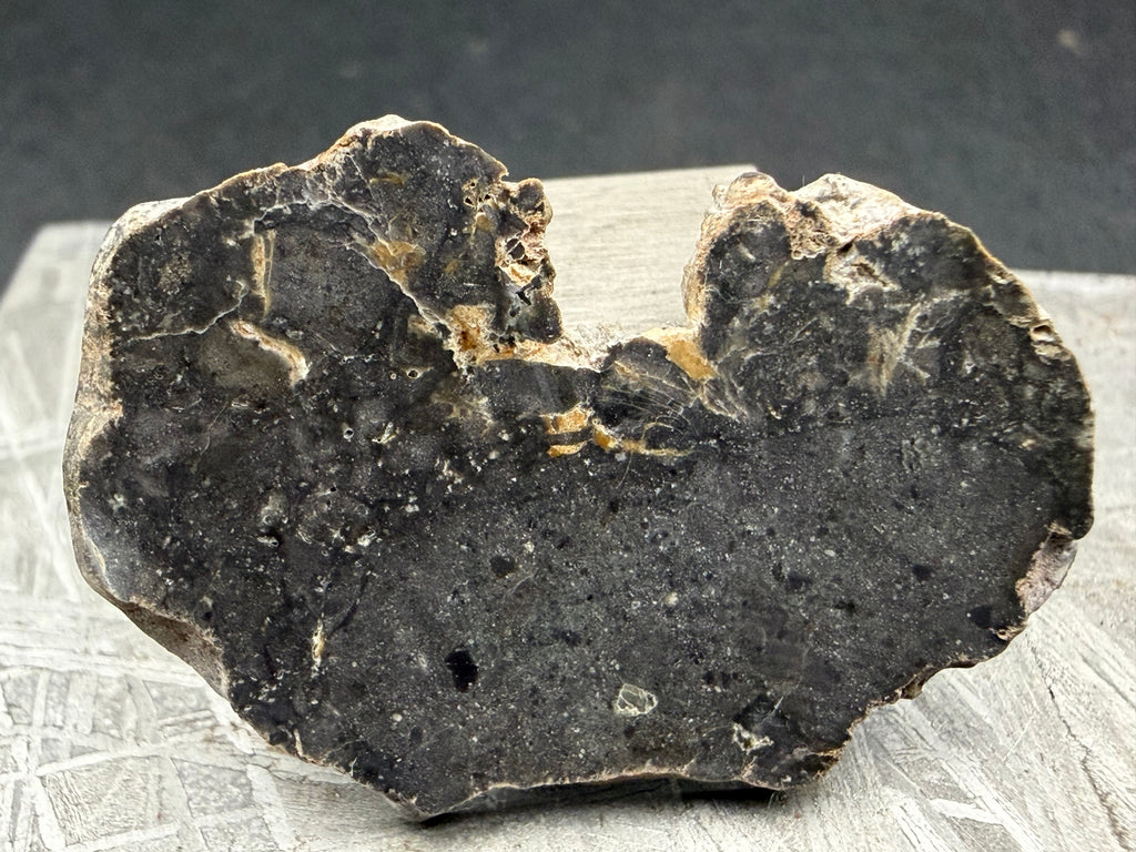 NWA 17706 lunar meteorite full slice reverse showing uncut desert-varnished exterior surface with cortex and matrix contrast