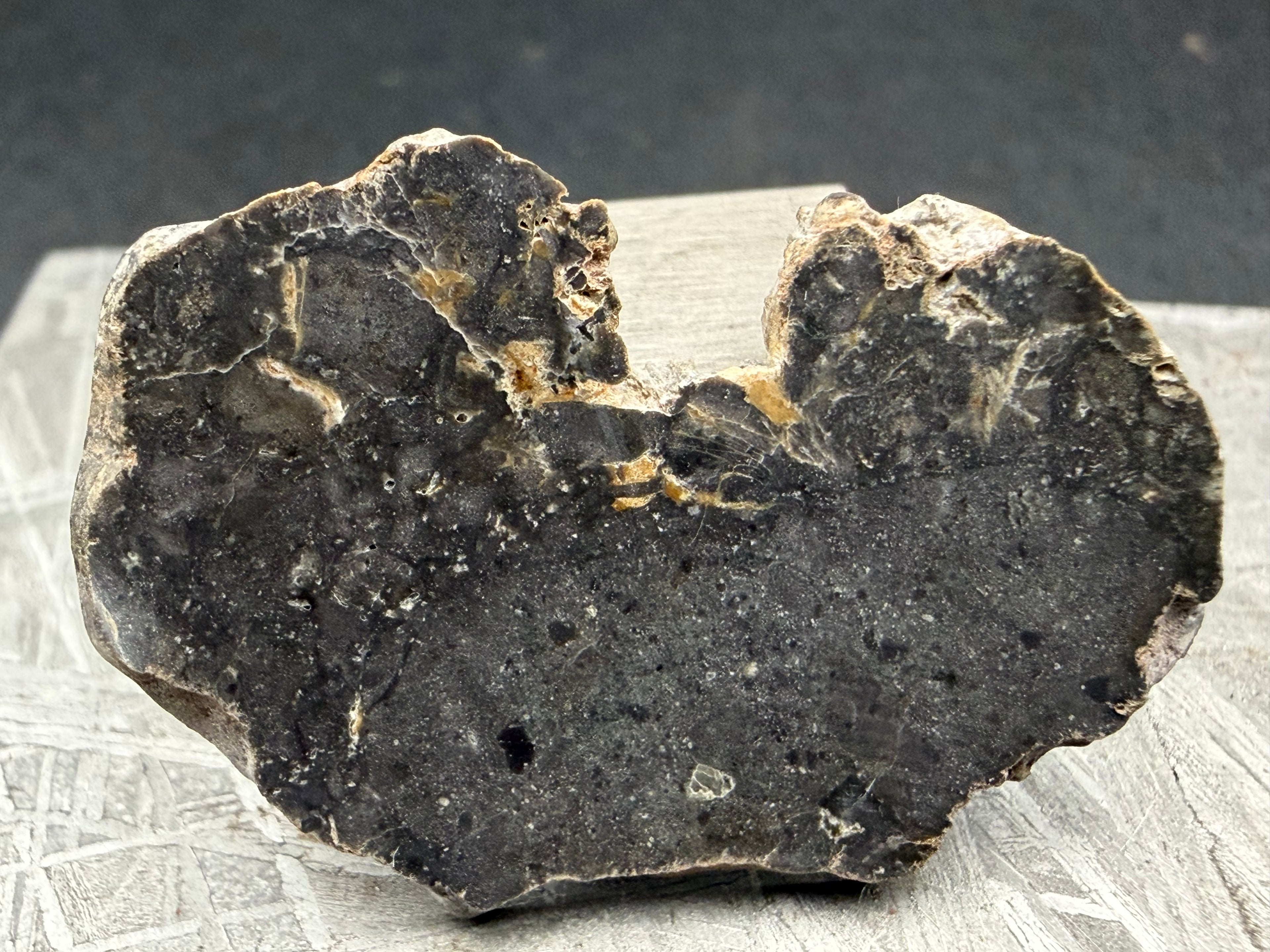 NWA 17706 lunar meteorite full slice reverse showing uncut desert-varnished exterior surface with cortex and matrix contrast