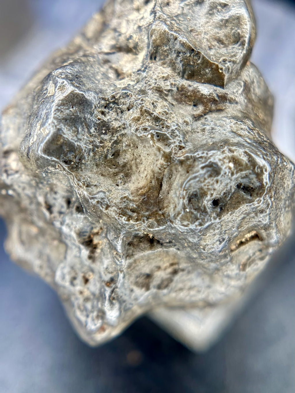 Detail of the knobby varnished texture of the NWA 17706 lunar complete individual
