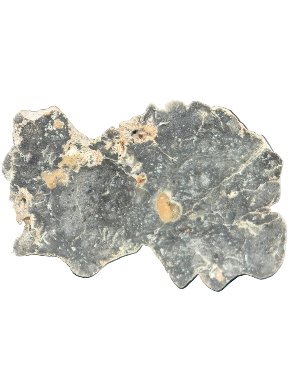 Cut face view of NWA 17706 Lunar meteorite showing pale clasts and veinlets in impact melt matrix, 2.20g