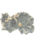 Cut face view of NWA 17706 Lunar meteorite showing pale clasts and veinlets in impact melt matrix, 2.20g