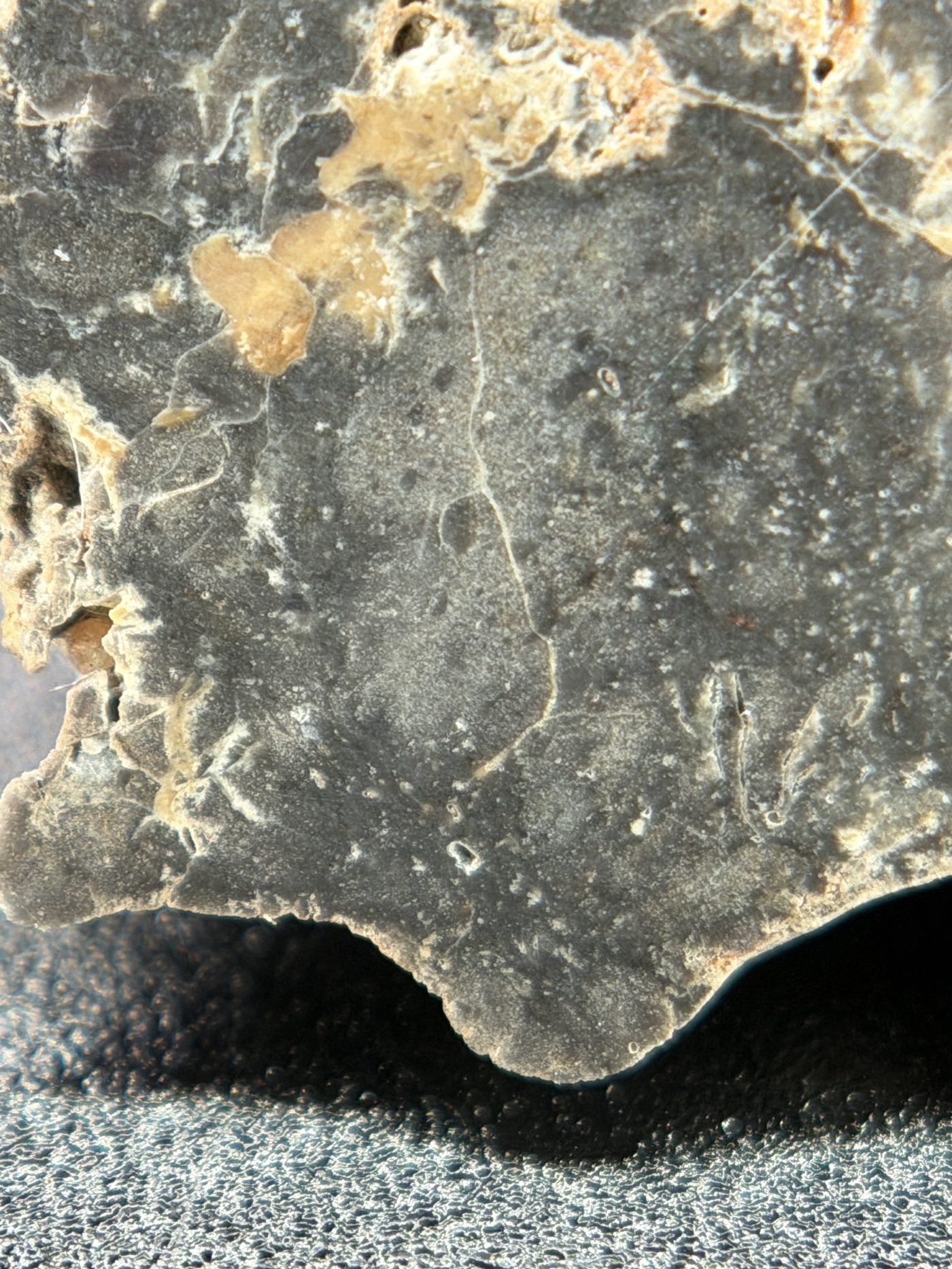 Macro view of NWA 17706 Lunar meteorite showing tan lithic clasts against the melt breccia matrix, 2.20g