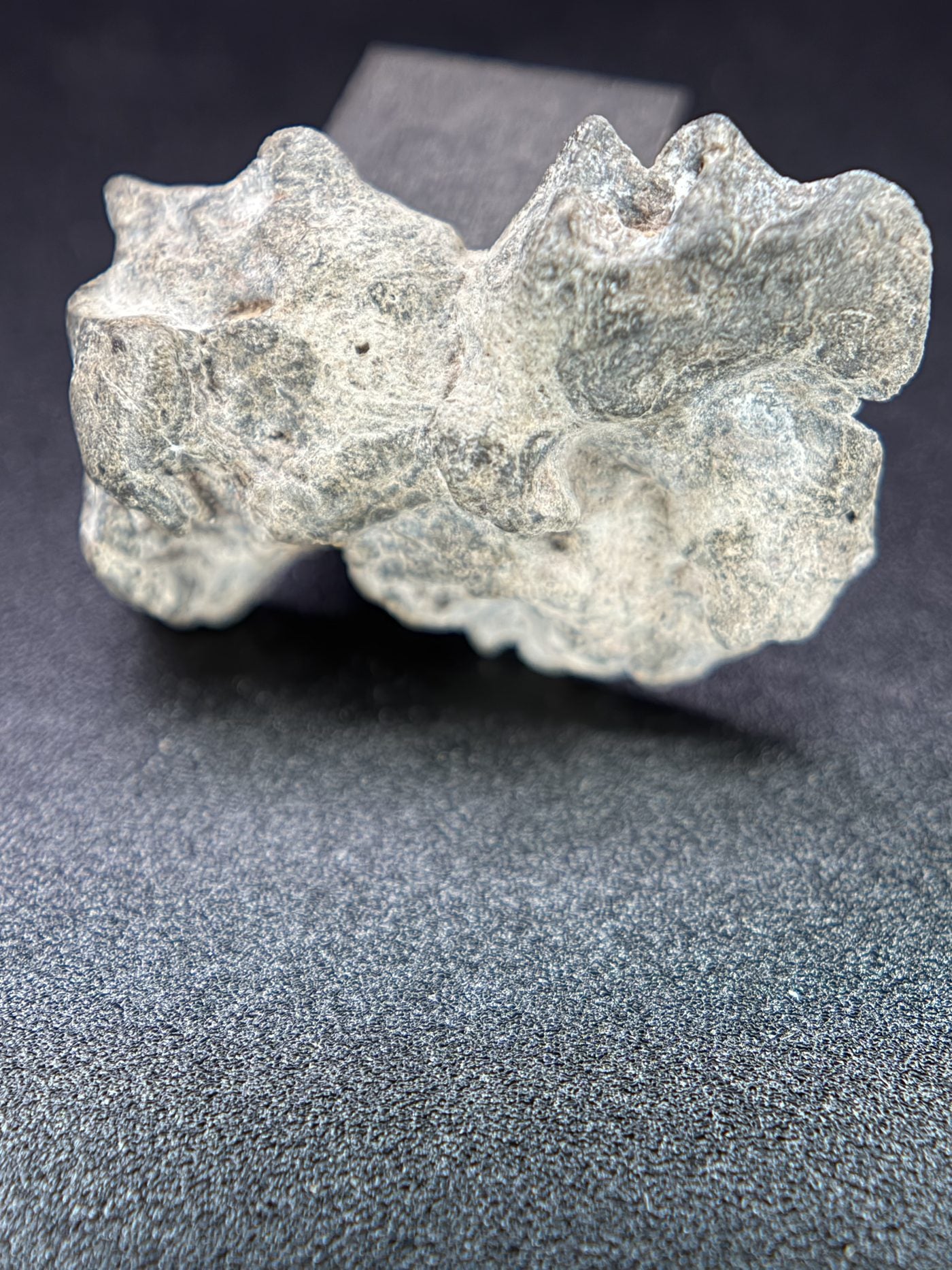 Exterior view of NWA 17706 Lunar meteorite showing desert varnished uncut surface, 2.20g