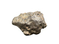 NWA 17706 lunar meteorite, 53.80g complete individual, on a white background