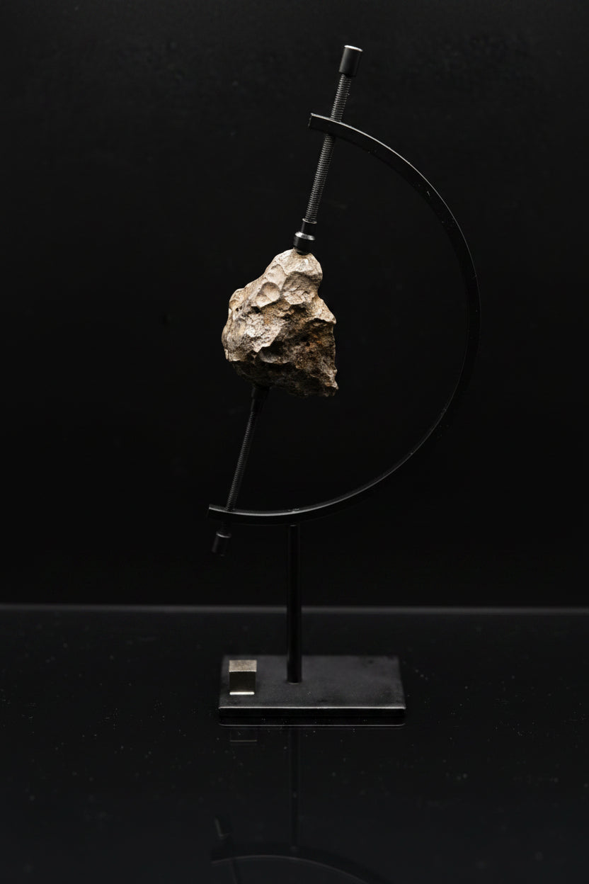 NWA 17706 lunar individual shown on a display stand