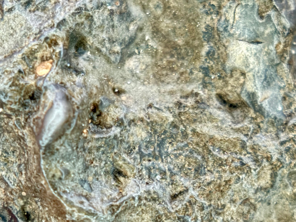 NWA 17706 lunar highland meteorite 45.40g -- light and dark lithologies mixed by ancient bombardment