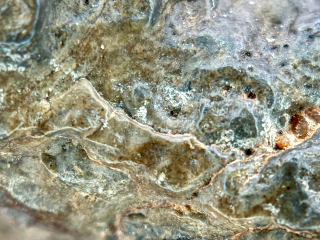 NWA 17706 lunar individual 45.40g -- complete cross-section revealing internal structure and clast distribution