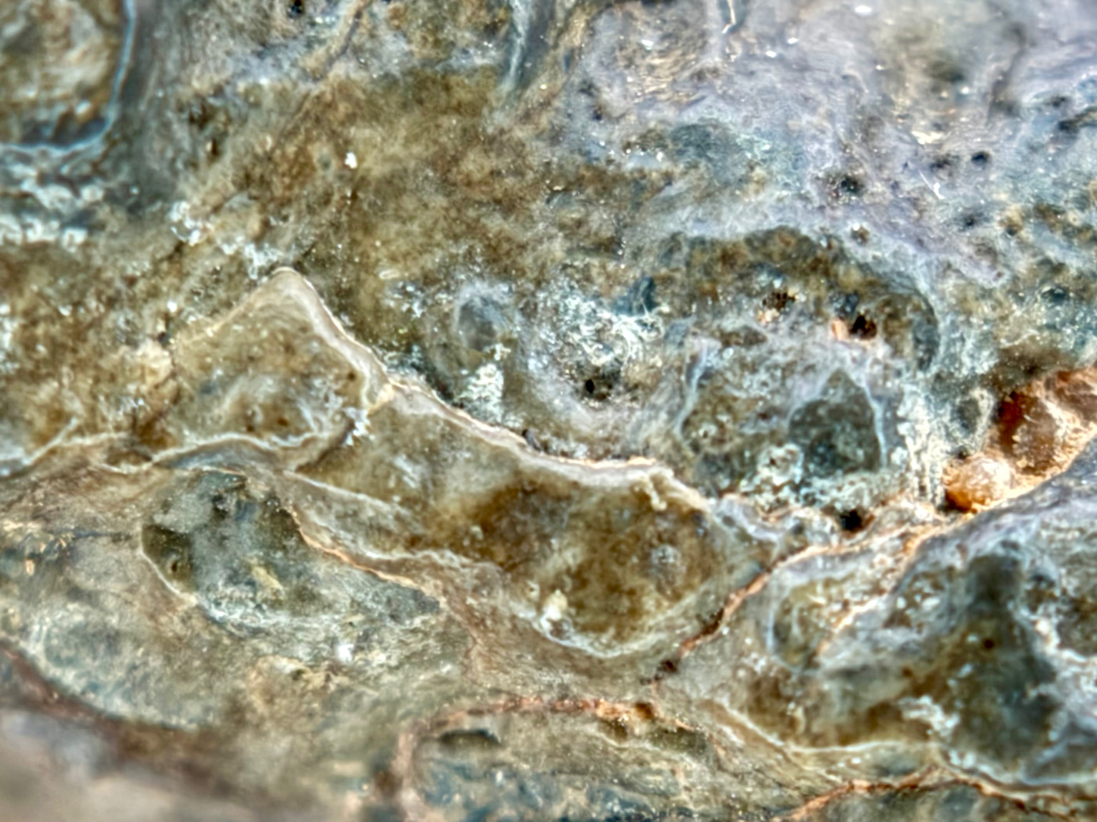 NWA 17706 lunar individual 45.40g -- complete cross-section revealing internal structure and clast distribution