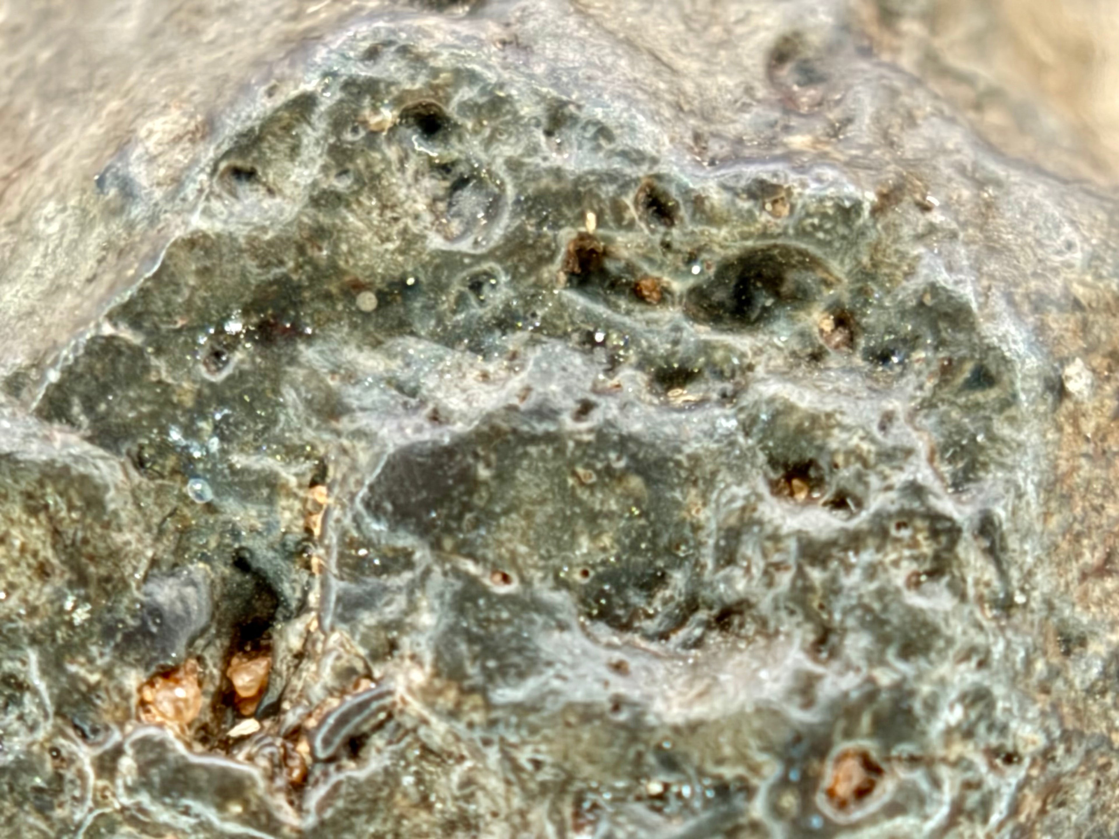 NWA 17706 troctolitic anorthosite 45.40g -- regolith breccia texture preserving multiple impact generations