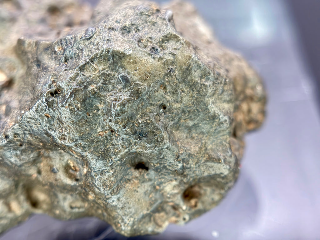 NWA 17706 lunar breccia 45.40g -- mineral contrast between ancient crustal fragments and impact melt matrix