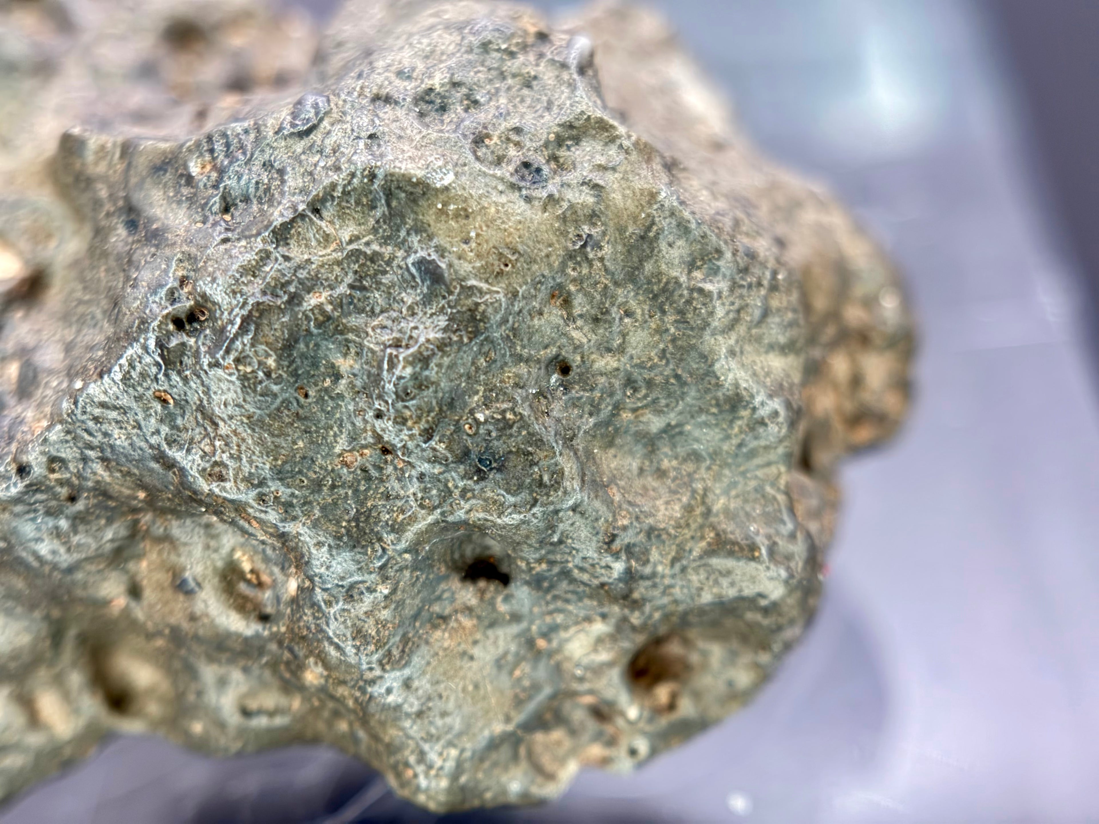 NWA 17706 lunar breccia 45.40g -- mineral contrast between ancient crustal fragments and impact melt matrix
