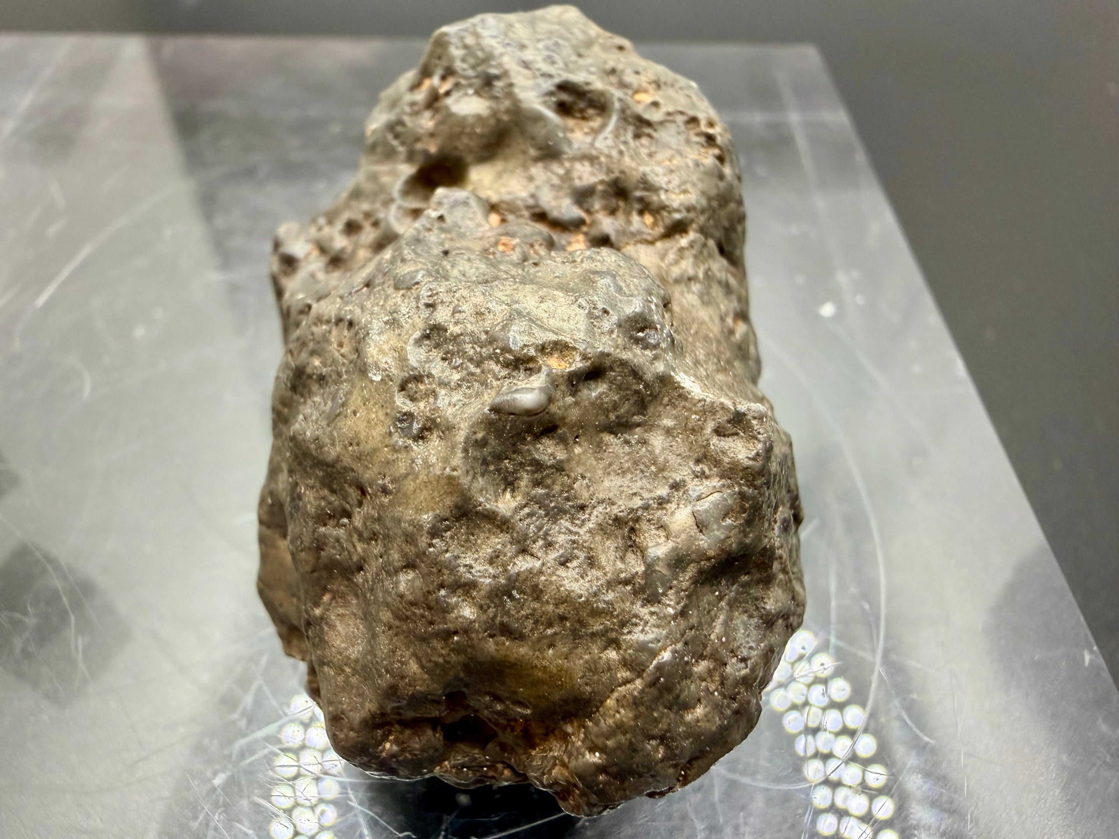 NWA 17706 lunar meteorite 45.40g top view showing complete individual specimen