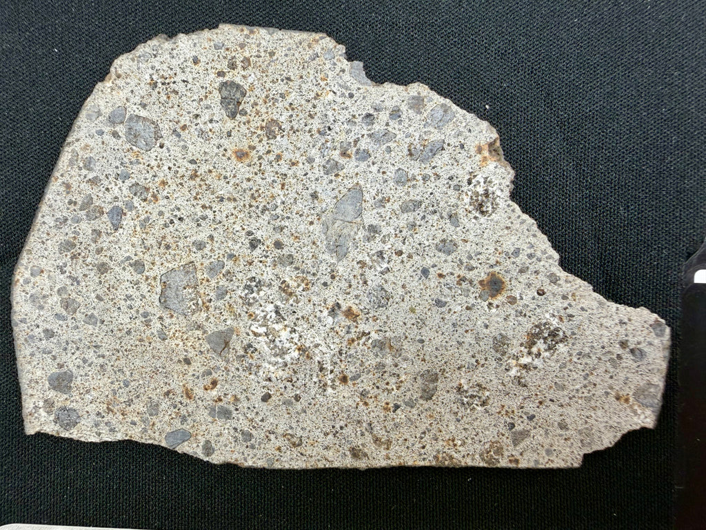 Close-up of NWA 17708 howardite individual sanded face showing detail of light eucrite and dark diogenite clasts - 36.92g
