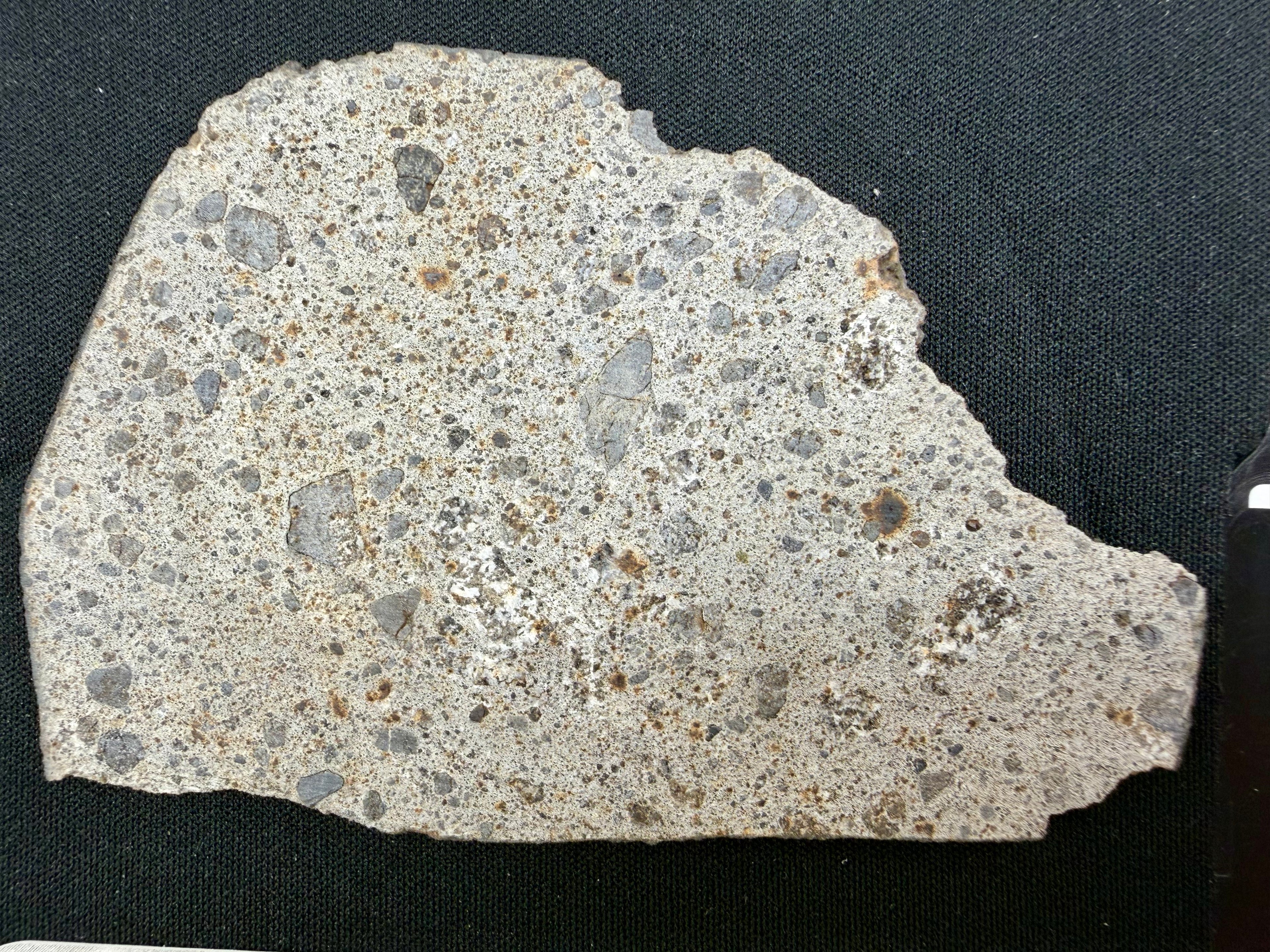 Close-up of NWA 17708 howardite individual sanded face showing detail of light eucrite and dark diogenite clasts - 36.92g