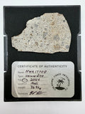 Display photo of NWA 17708 howardite meteorite individual showing fusion crust and brecciated HED texture - 36.92g