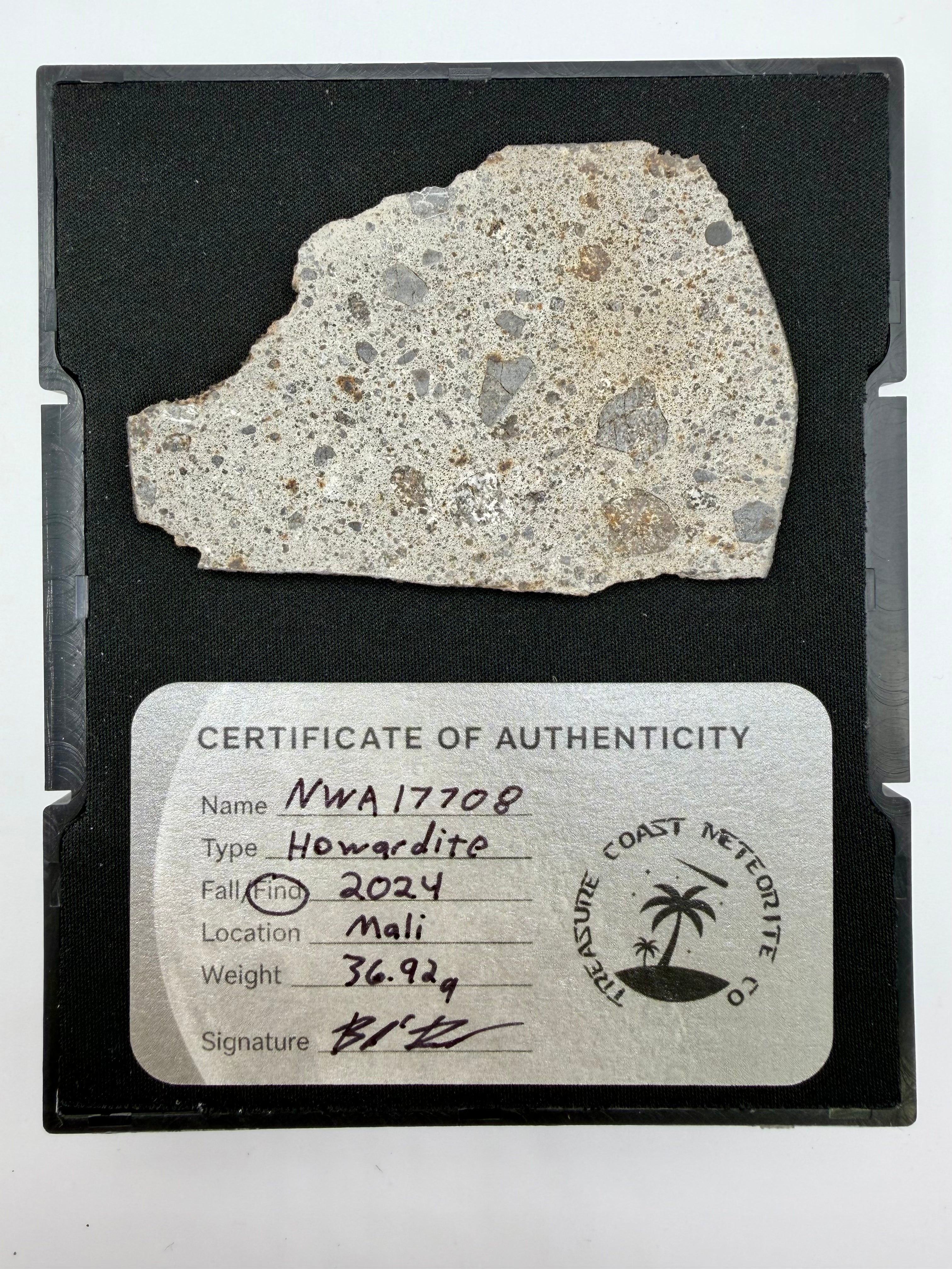 Display photo of NWA 17708 howardite meteorite individual showing fusion crust and brecciated HED texture - 36.92g