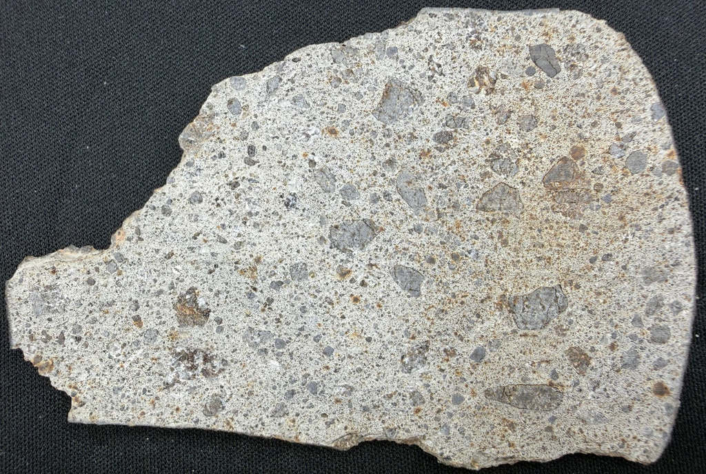 Close-up of NWA 17708 howardite meteorite slice showing brecciated eucritic and diogenitic clasts in fine matrix - 38.73g