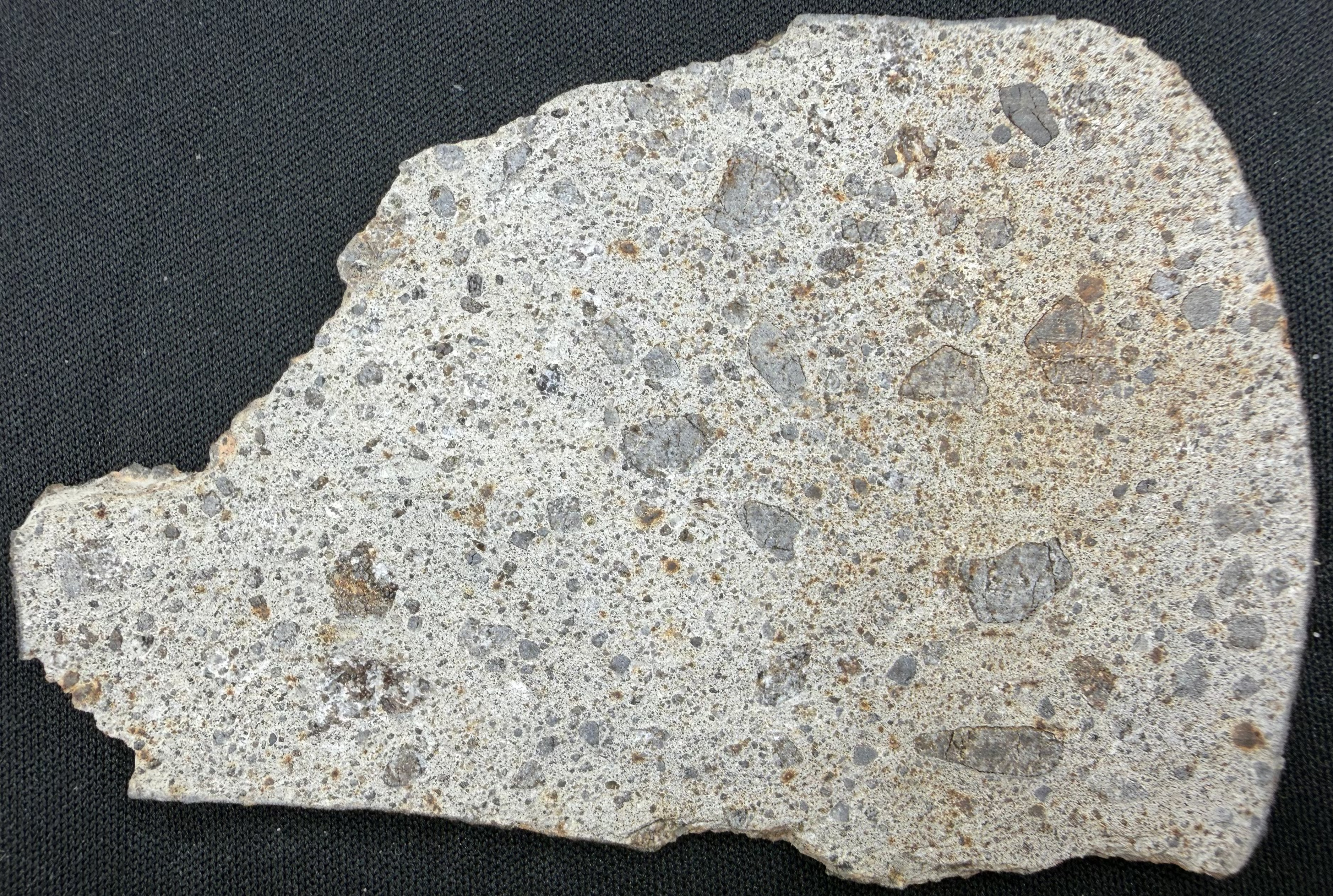 Close-up of NWA 17708 howardite meteorite slice showing brecciated eucritic and diogenitic clasts in fine matrix - 38.73g