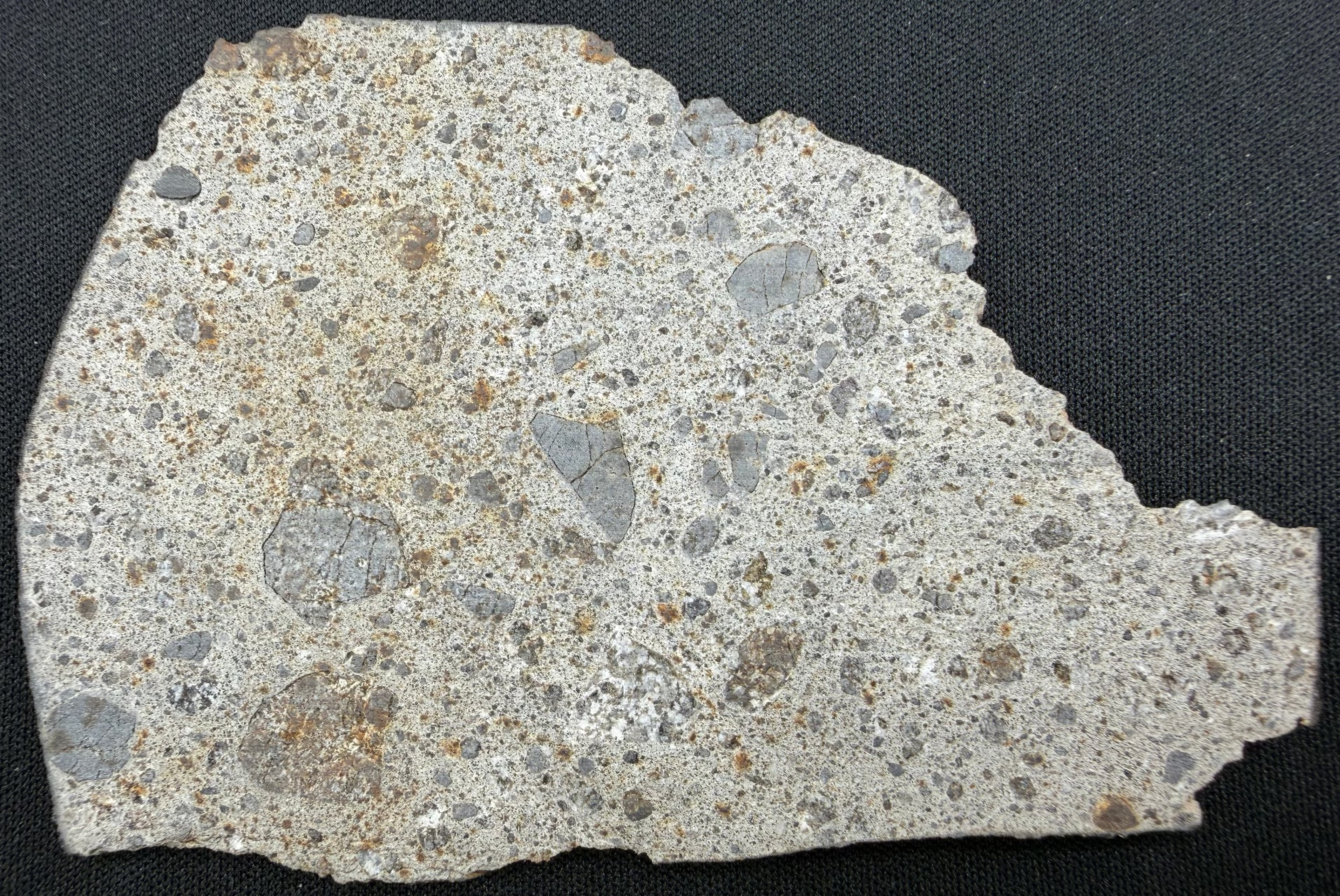 Macro photo of NWA 17708 howardite meteorite slice showing rippling fusion crust along edge from atmospheric entry - 38.73g