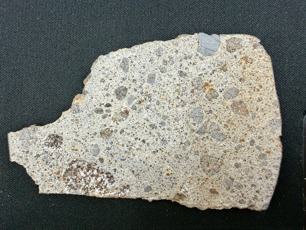 Top view of NWA 17708 howardite meteorite slice showing brecciated interior with angular eucritic basalt and diogenitic orthopyroxenite clasts - 35.21g