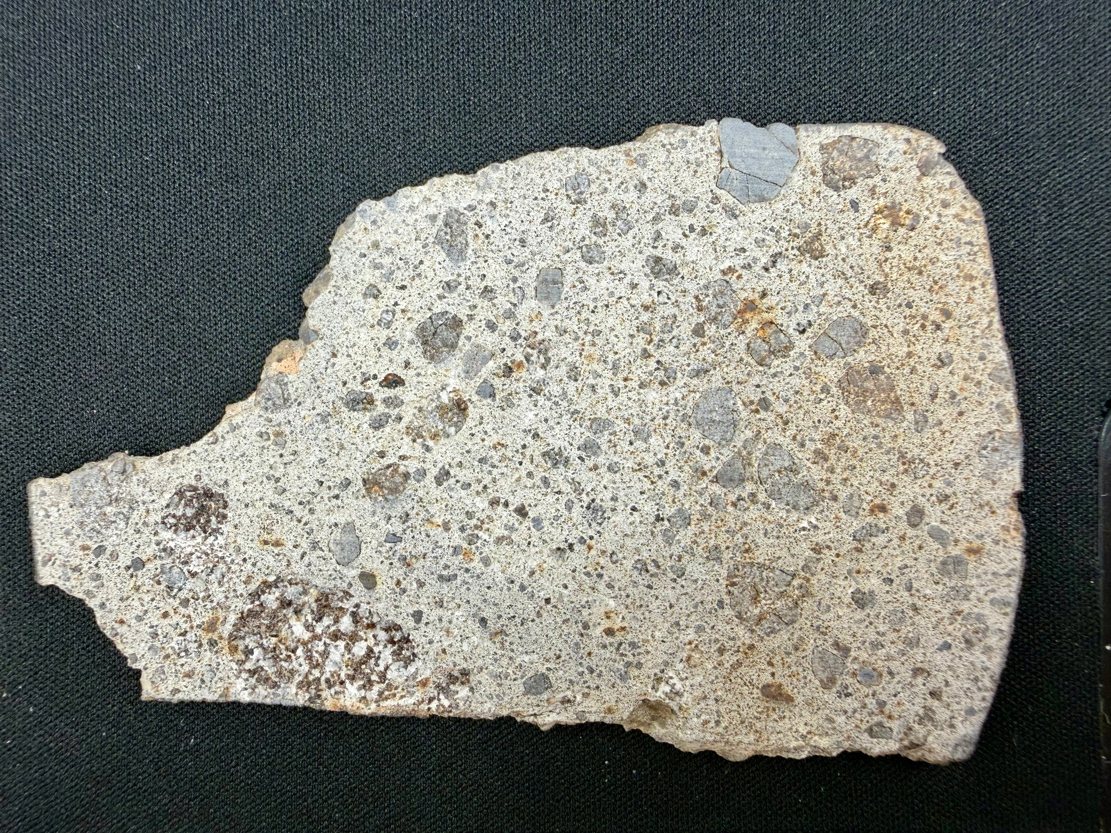 Top view of NWA 17708 howardite meteorite slice showing brecciated interior with angular eucritic basalt and diogenitic orthopyroxenite clasts - 35.21g