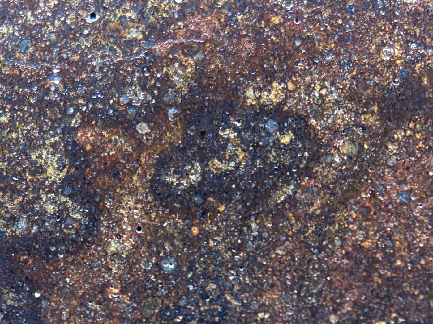 Macro detail of NWA 17916 CO3 carbonaceous chondrite meteorite showing individual chondrules in grey and olive against the matrix, 11.28g