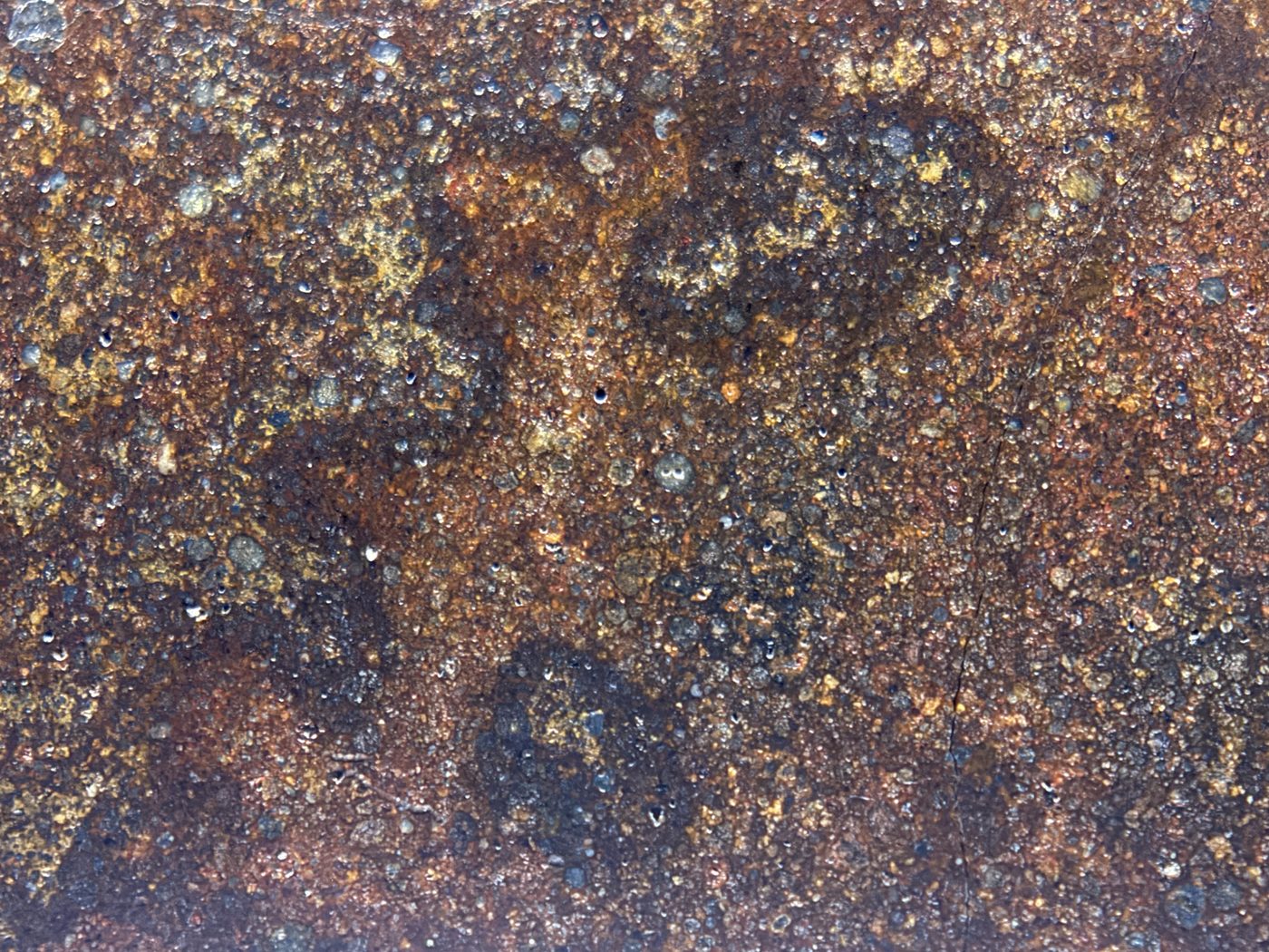 Macro view of NWA 17916 CO3 carbonaceous chondrite meteorite showing pale inclusions and chondrules across the polished face, 11.28g