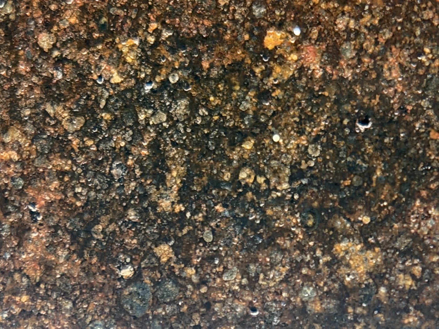 Macro view of NWA 17916 CO3 carbonaceous chondrite meteorite showing fine grained matrix with dispersed opaque grains, 11.28g