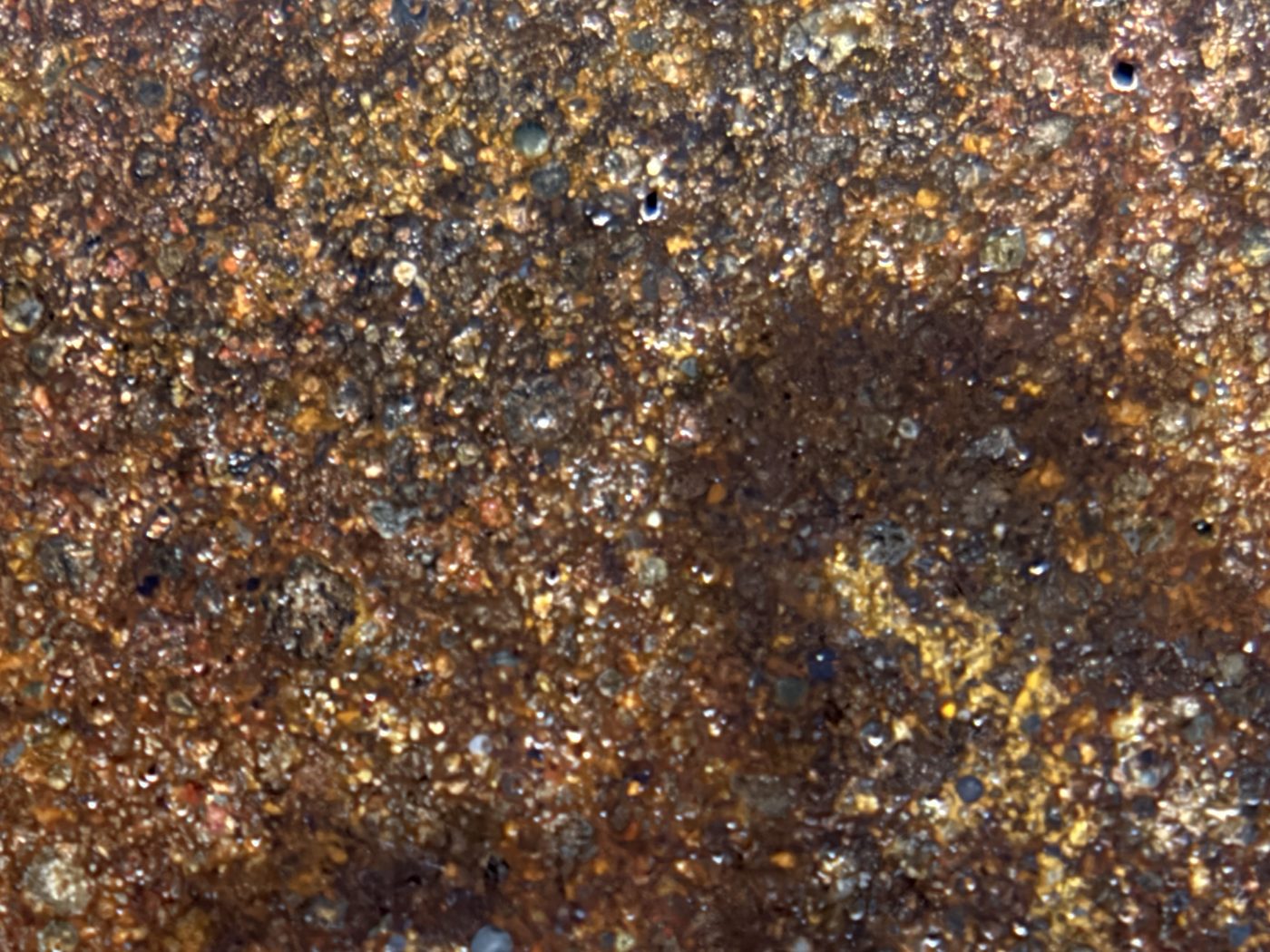 Macro view of NWA 17916 CO3 carbonaceous chondrite meteorite showing closely spaced rounded chondrules on the polished face, 12.00g