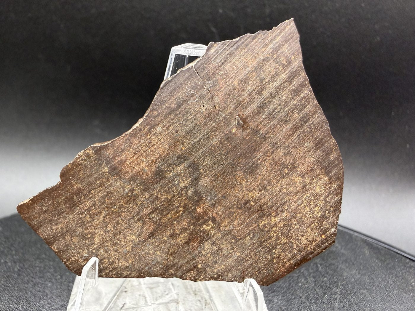 Reverse face of NWA 17916 CO3 carbonaceous chondrite meteorite slice showing saw cut surface with visible cutting striations, 12.00g