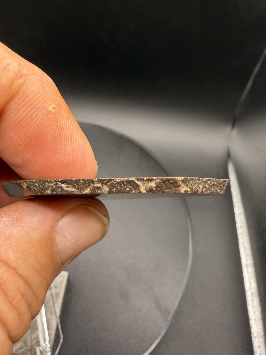 Edge profile of NWA 17916 CO3 carbonaceous chondrite meteorite slice held in hand showing slice thickness and fusion crust, 13.00g