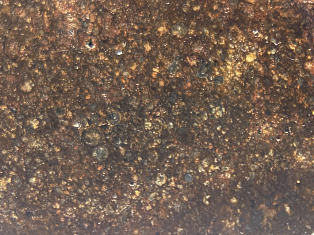 Macro detail of NWA 17916 CO3 carbonaceous chondrite meteorite showing individual chondrules in grey and olive against the matrix, 13.00g