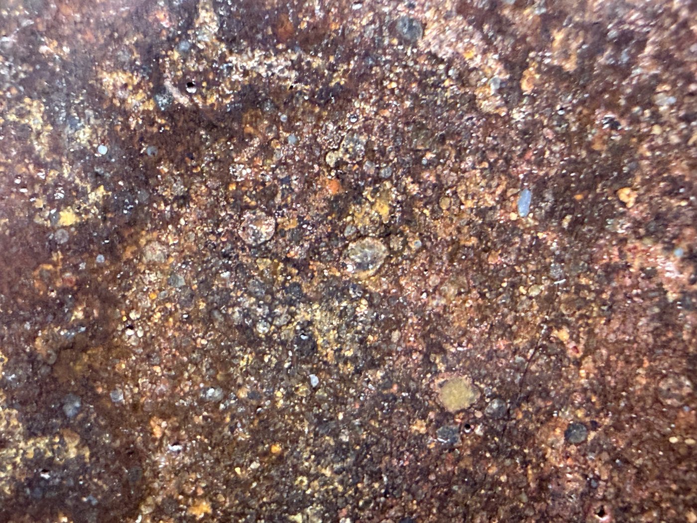 Macro view of NWA 17916 CO3 carbonaceous chondrite meteorite showing closely spaced rounded chondrules on the polished face, 13.00g