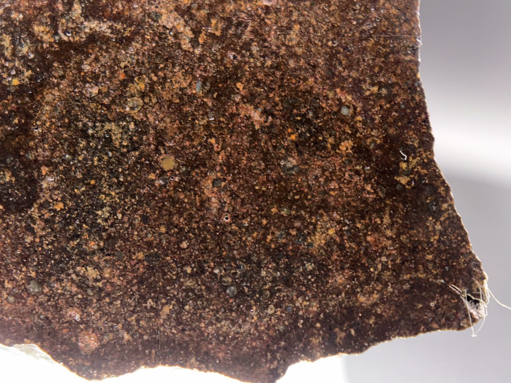 Macro view of NWA 17916 CO3 carbonaceous chondrite meteorite showing the polished face meeting the outer edge of the slice, 13.00g