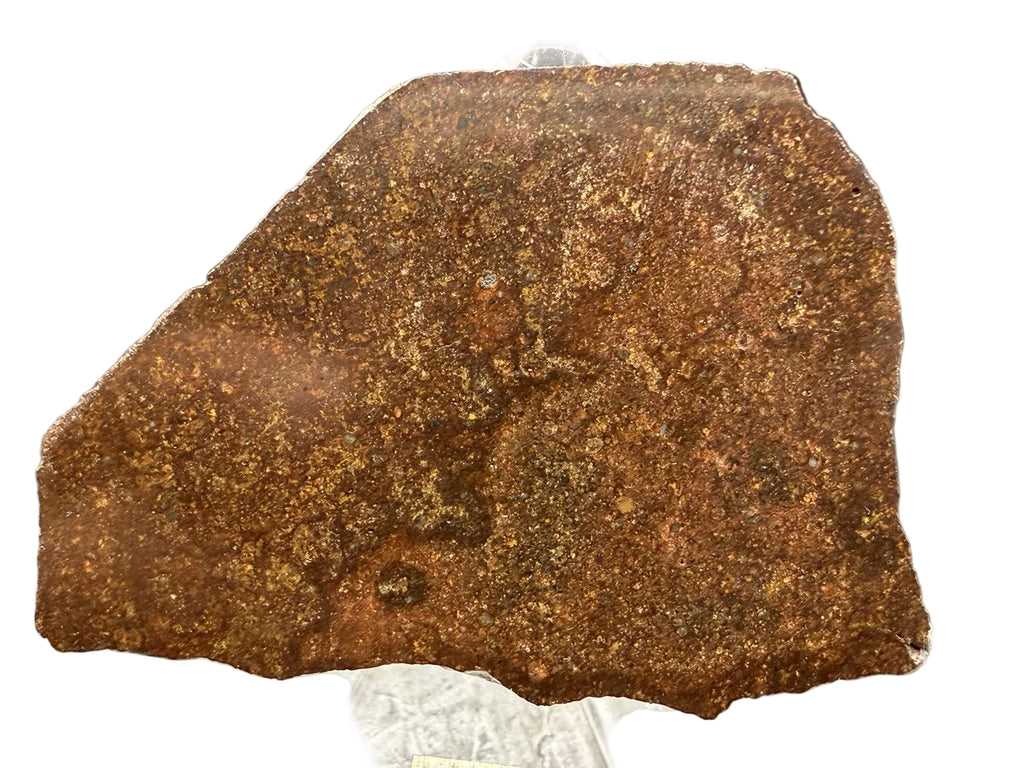 Mirror polished face of NWA 17916 CO3 carbonaceous chondrite meteorite slice showing dense chondrule population, 13.00g