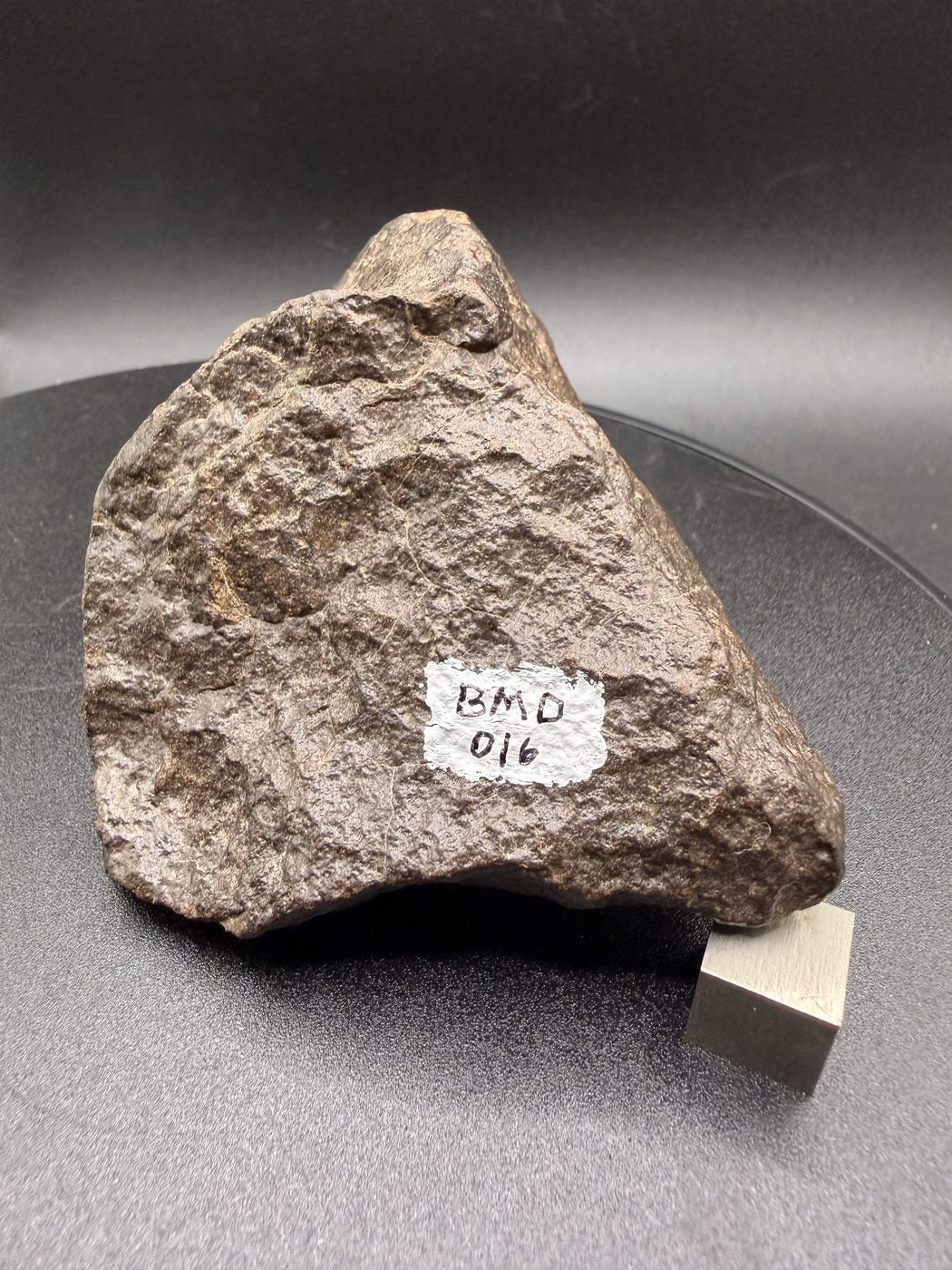 NWA 17916 CO3 Carbonaceous Chondrite Meteorite End Cut, Main Mass with Fusion Crust, 320.79g