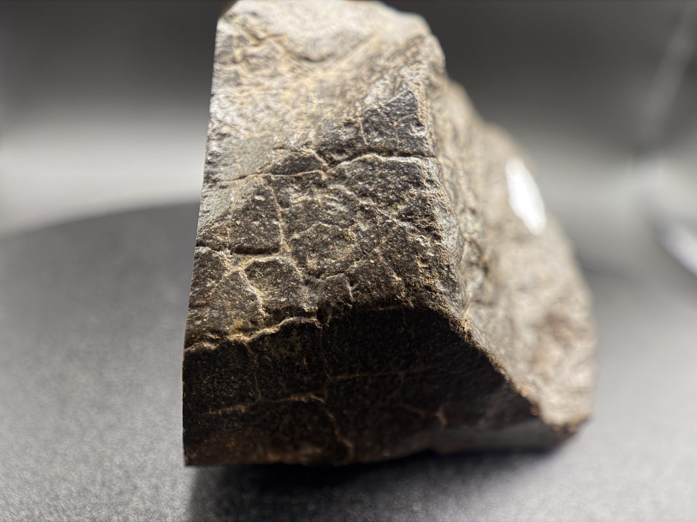 NWA 17916 CO3 Carbonaceous Chondrite Meteorite End Cut, Main Mass with Fusion Crust, 320.79g