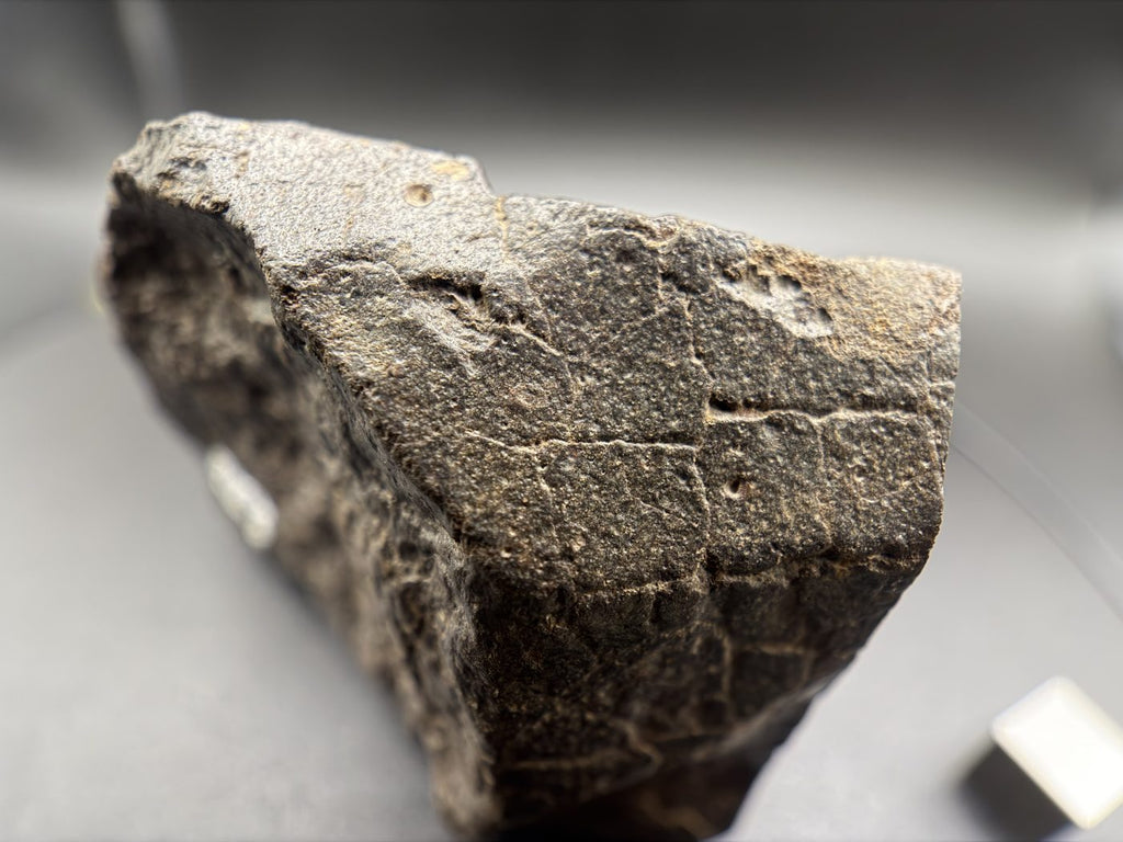 NWA 17916 CO3 Carbonaceous Chondrite Meteorite End Cut, Main Mass with Fusion Crust, 320.79g