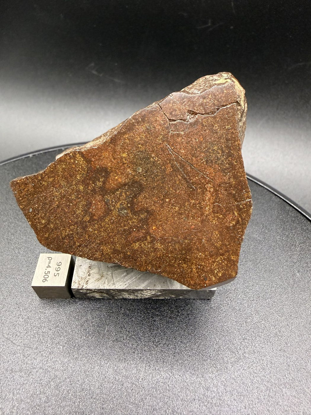 NWA 17916 CO3 Carbonaceous Chondrite Meteorite End Cut, Main Mass with Fusion Crust, 320.79g