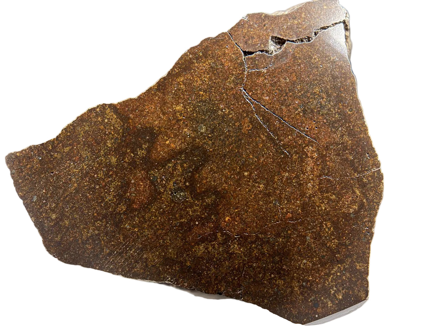 NWA 17916 CO3 Carbonaceous Chondrite Meteorite End Cut, Main Mass with Fusion Crust, 320.79g