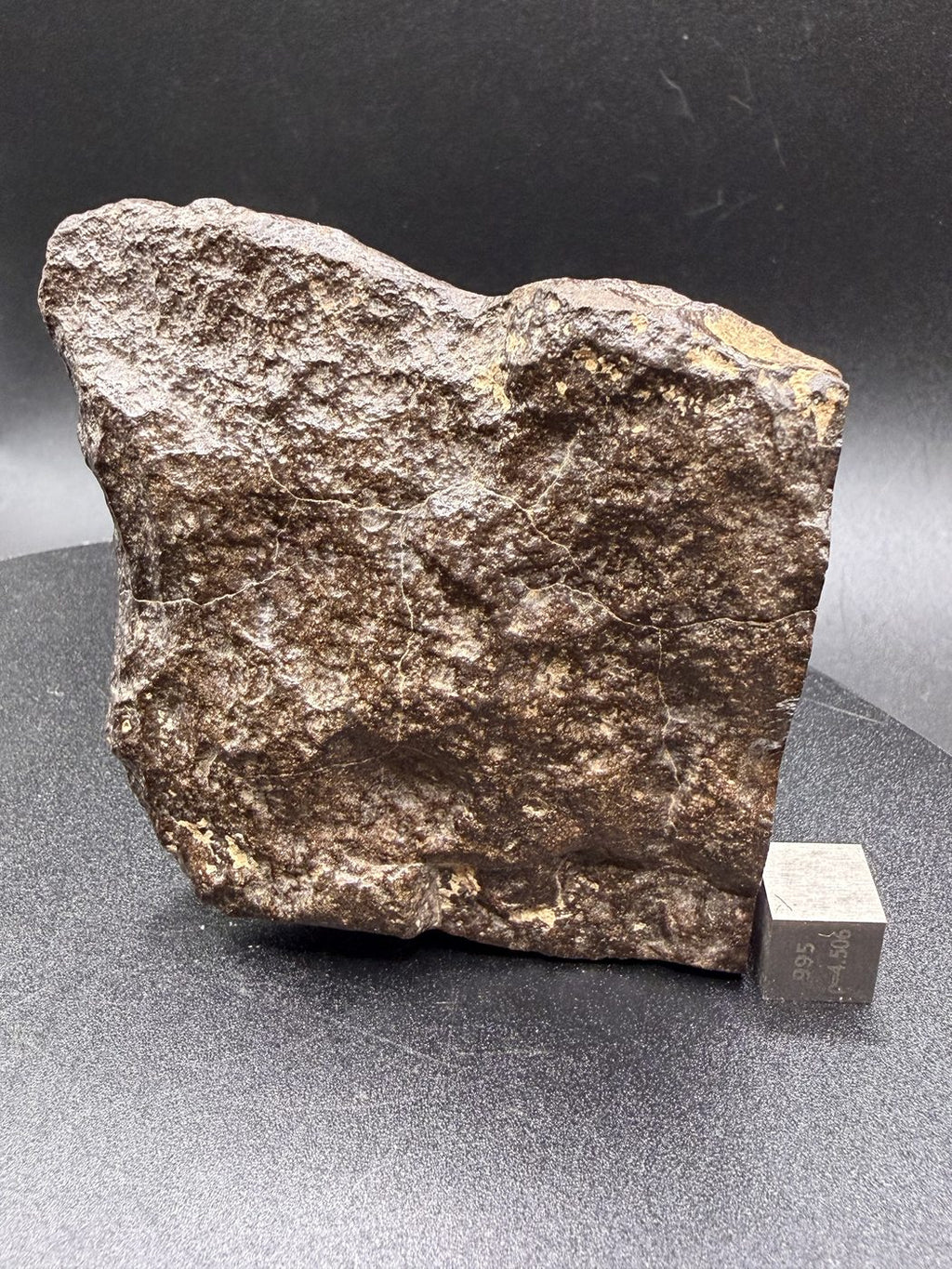 NWA 17916 CO3 Carbonaceous Chondrite Meteorite End Cut, Main Mass with Fusion Crust, 320.79g