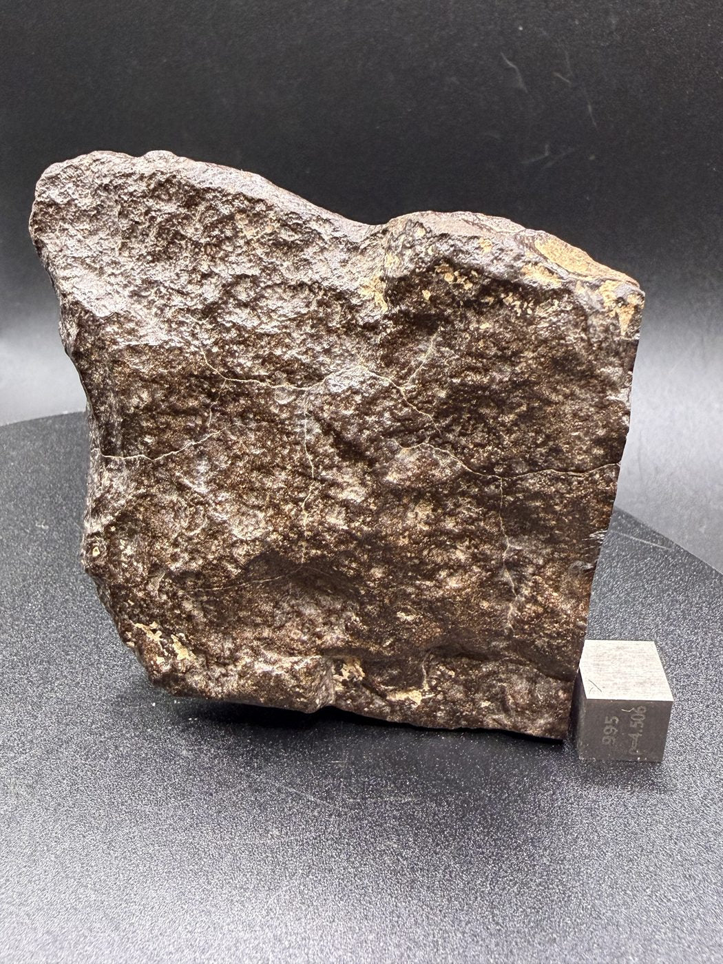 NWA 17916 CO3 Carbonaceous Chondrite Meteorite End Cut, Main Mass with Fusion Crust, 320.79g