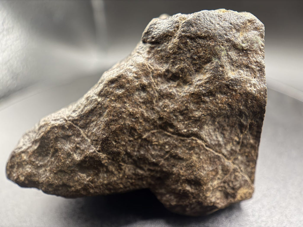 NWA 17916 CO3 Carbonaceous Chondrite Meteorite End Cut, Main Mass with Fusion Crust, 320.79g