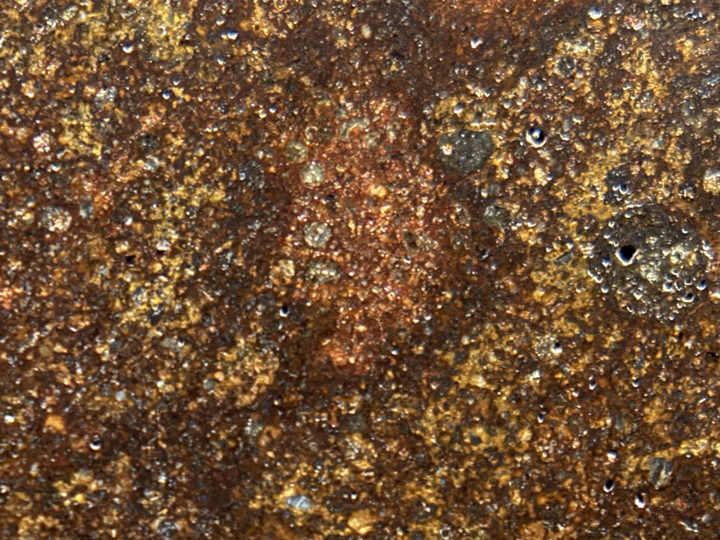 NWA 17916 CO3 Carbonaceous Chondrite Meteorite End Cut, Main Mass with Fusion Crust, 320.79g