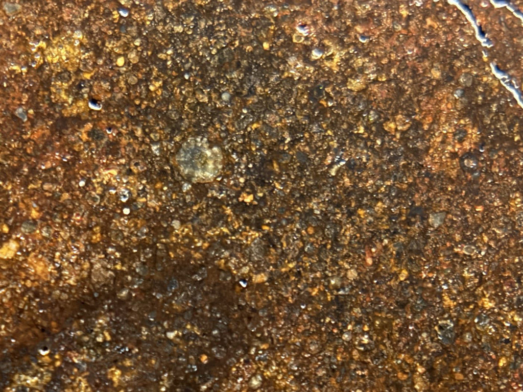 NWA 17916 CO3 Carbonaceous Chondrite Meteorite End Cut, Main Mass with Fusion Crust, 320.79g