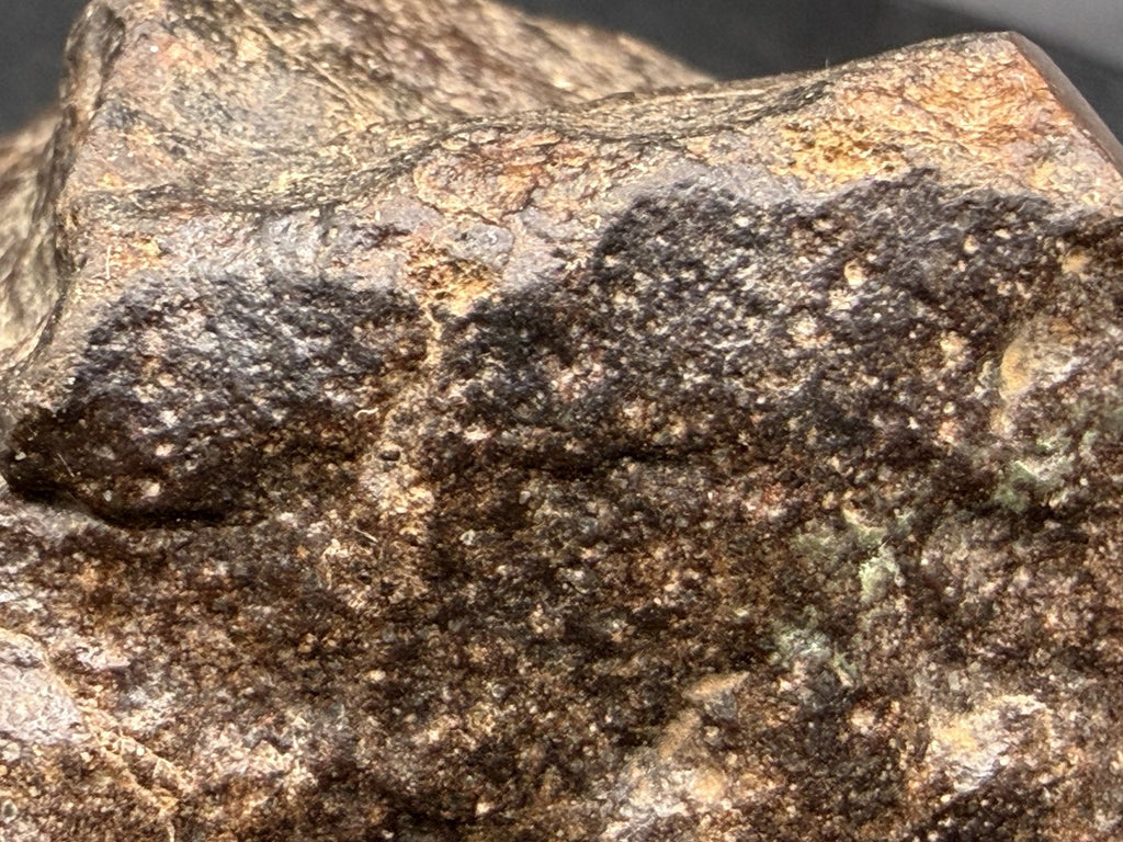 NWA 17916 CO3 Carbonaceous Chondrite Meteorite End Cut, Main Mass with Fusion Crust, 320.79g