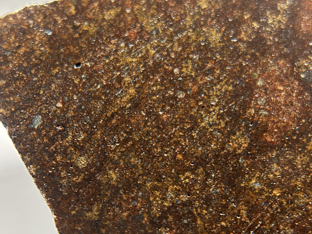 NWA 17916 CO3 Carbonaceous Chondrite Meteorite End Cut, Main Mass with Fusion Crust, 320.79g