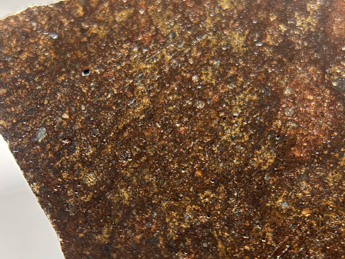 NWA 17916 CO3 Carbonaceous Chondrite Meteorite End Cut, Main Mass with Fusion Crust, 320.79g