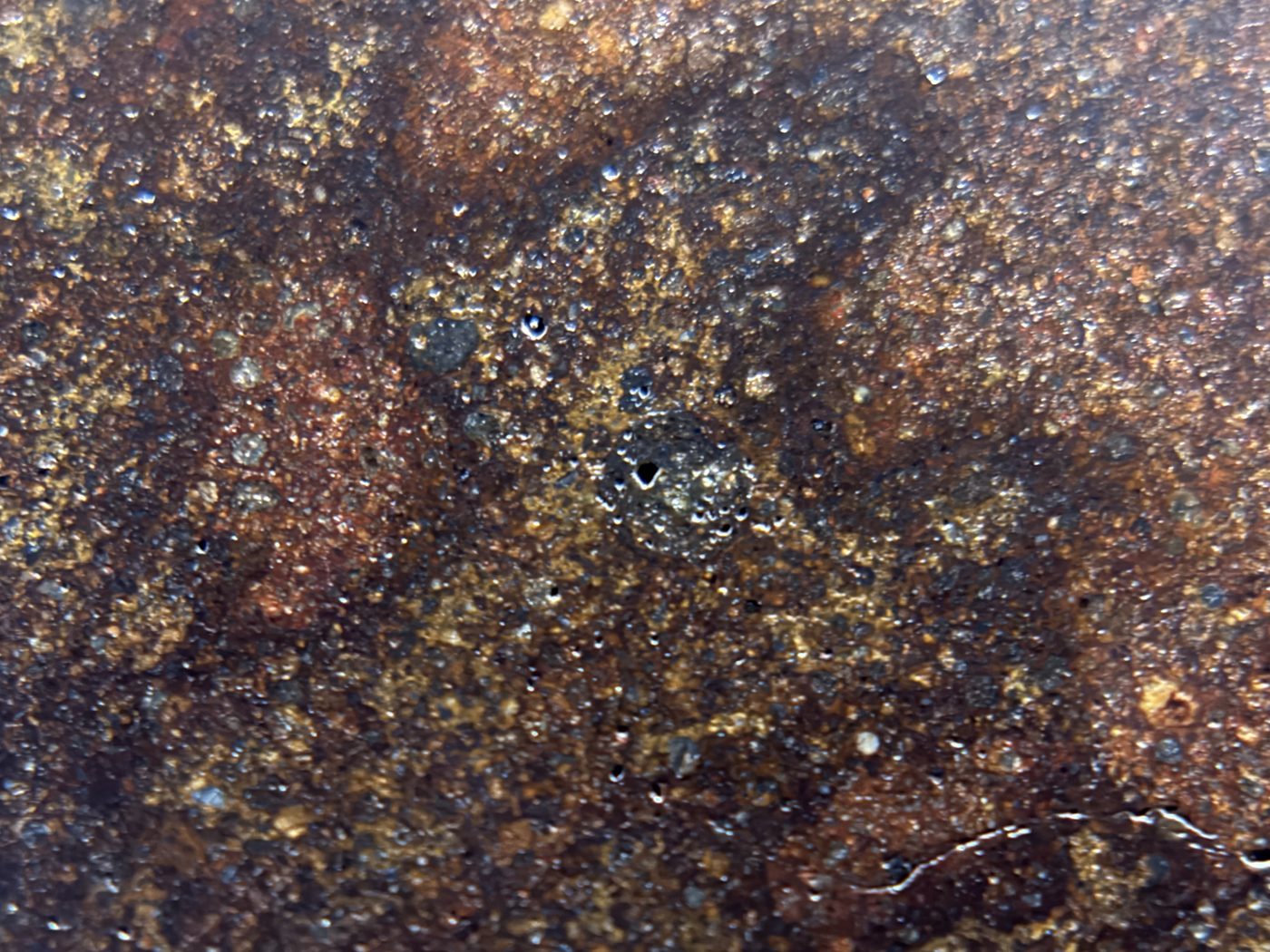 NWA 17916 CO3 Carbonaceous Chondrite Meteorite End Cut, Main Mass with Fusion Crust, 320.79g